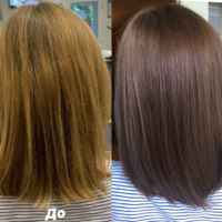 Тонирование волос: Плюсы и минусы, фото до и после