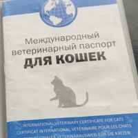 Офломелид Для Кошек Отзывы Ветеринаров