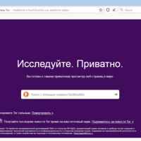 Tor browser bundle отзывы о программе гирда даркнет поисковики hydra2web