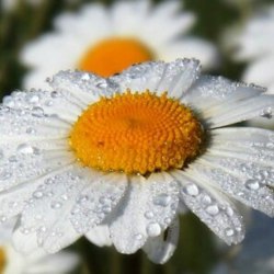 __katrina13_ аватар
