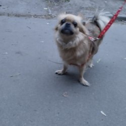 Геннадий1330 аватар