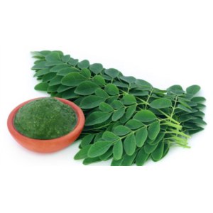 Витаминно-минеральный комплекс  Members of Pure Moringa 100 % Natyral & Organic фото