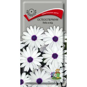 Семена "Поиск"  Остеоспермум "Небо и лёд" фото