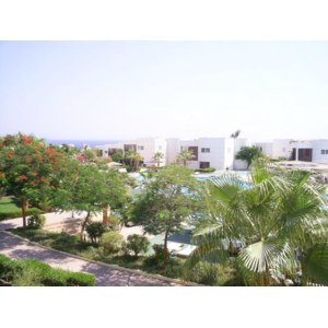 Sharm Reef 3*, Египет, Шарм-эль-Шейх фото