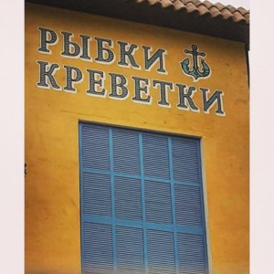 Рыбки Креветки, Тула фото