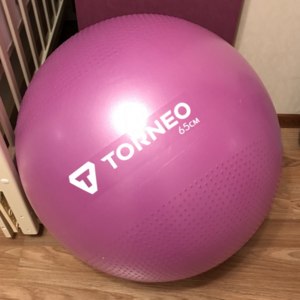 Мяч гимнастический Torneo А-209 фото