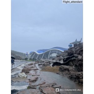 Приморский океанариум (остров Русский), Владивосток фото