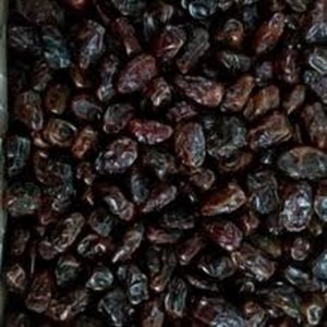 Финики сушёные Arian Trade Development Co, Ltd, Иран  фото