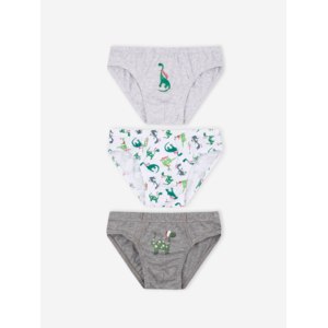 Трусики Gloria Jeans с динозаврами для мальчика BUW002080 фото