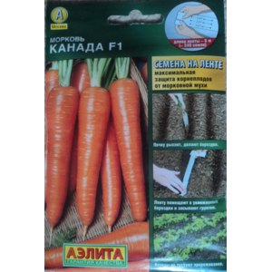 Правила выращивания моркови Соломон