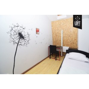 Loft hostel (лофт хостел), Россия, Москва фото