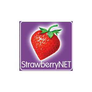 Strawberry Косметика Интернет Магазин