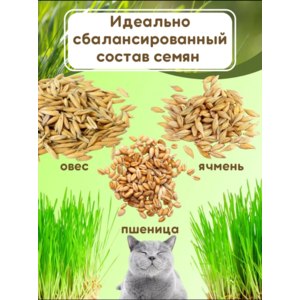 Травка для кошек Green Food Набор для выращивания травы 3 вида семян фото