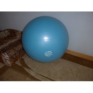 Мяч гимнастический  Lite Weights с насосом, 75 см фото