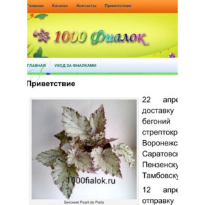 1000 Фиалок Интернет Магазин Новороссийск