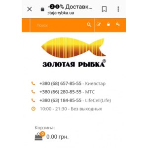 Золотая Рыбка Магазин Ювелирных Изделий Челябинск