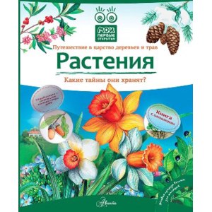 Растения. Какие тайны они хранят? Путешествие в царство деревьев и трав. Книга с окошками. Живая природа России для малышей. Елумеева Т. фото