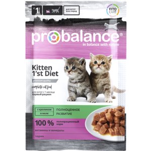 Выбор корма для сфинксов: оптимальное питание для котят и взрослых кошек