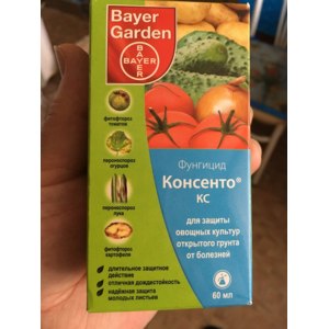 Комбинированный фунгицид "Консенто КС" от фитофторы фото