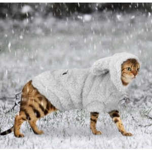 Одежда для животных Aliexpress Warm Cat Clothes Winter Pet Puppy Kitten Coat Jacket For Small Medium Dogs Cats Chihuahua Yorkshire Clothing Costume Pink S-2XL фото
