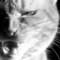 shabanova_81 аватар