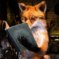 St.Fox аватар