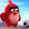 Angry-bird аватар