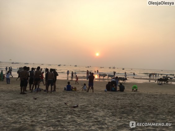 Индия, Гоа, пляж Бага - отзыв