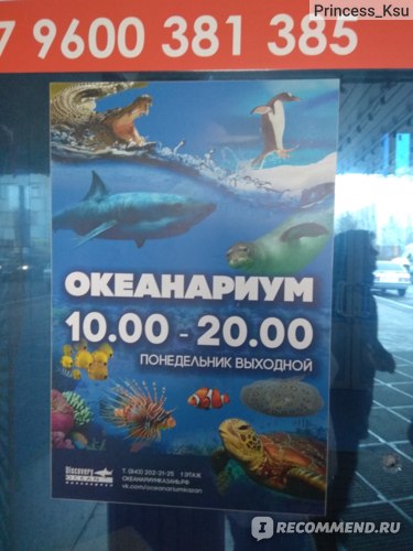 Океанариум, Казань отзыв Princess_Ksu