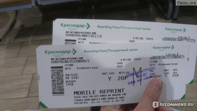билеты самолет калининград
