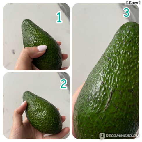 Как выбрать авокадо. Как прорастить авокадо. Что приготовить из авокадо