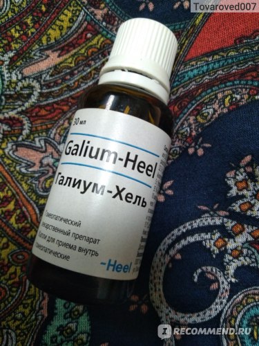 Лекарственный препарат Heel Галиум-Хель - «Опыт использования 