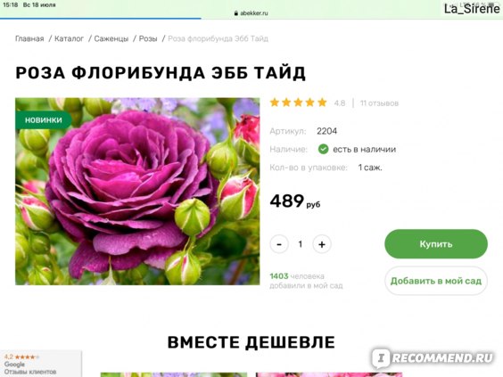 Беккер Интернет Магазин Для Садоводов Каталог Розы