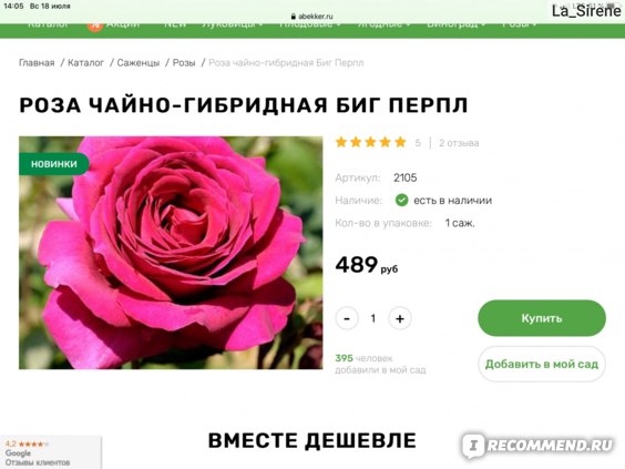 Беккер Интернет Магазин Для Садоводов Каталог Розы