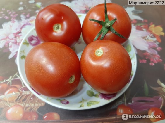 Томаты Flamenko Сливовидные - «Разрекламированные томаты Flamenkoсливовидные. Купила в магазине на развес. А как на вкус?»
