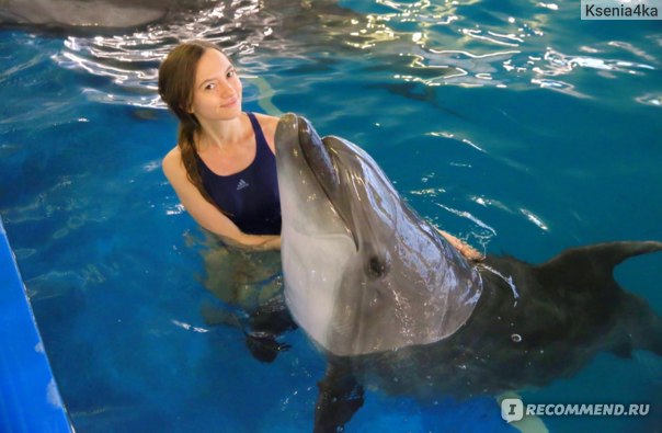 я с дельфином 