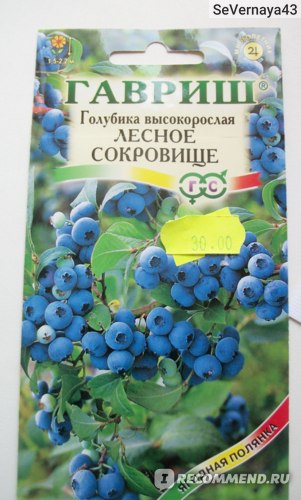 Голубика садовая (Vaccinium corymbosum) - «Голубика - выращивание семенами.Хорошая идея или бесполезная трата времени и сил? Мой опыт выращивания:ГАВРИШ Голубика высокорослая \
