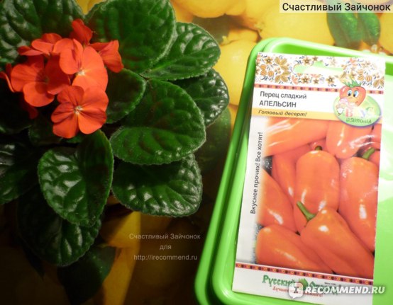 Семена Русский Огород Перец сладкий Апельсин - «Перец Апельсин -необыкновенно яркий и очень сладкий сорт. Не знаете, что посадить в огороде- выбирайте его! Красивые фото перца на кусте.»