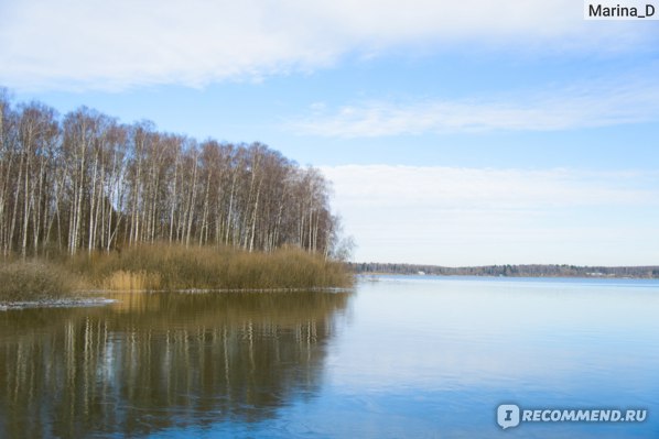 Озеро Сенеж (Сенежское озеро), Солнечногорск (Солнечногорский р-он), Московская область фото