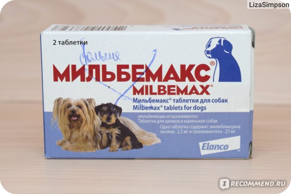 Как правильно использовать Мильбемакс таблетки для собак