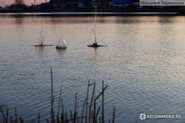 Голубые озера и Калининградский залив, Калининград фото