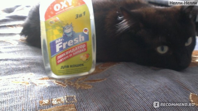Средство для удаления органических запахов кошек Mr. Fresh - « Рассмеши  своего кота - попробуй уничтожить запах его мочи ликвидатором пятен и запаха  Mr. Fresh.» | отзывы