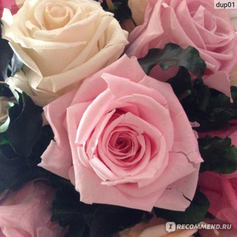 Стабилизированные цветы - «Если Вы любите чтобы цветы всегда были на столе,то это для Вас)»