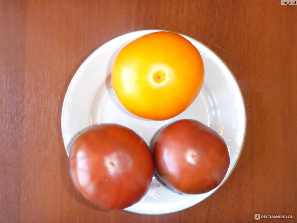 Семена томат Черный принц, фирма СЕДЕК - «Черные томаты разочаровали .